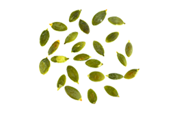 https://tinykeks.com/wp-content/uploads/2017/07/bread_transparent_04.png
