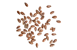https://tinykeks.com/wp-content/uploads/2017/07/bread_transparent_07.png