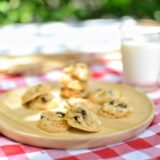 cookies that travel well